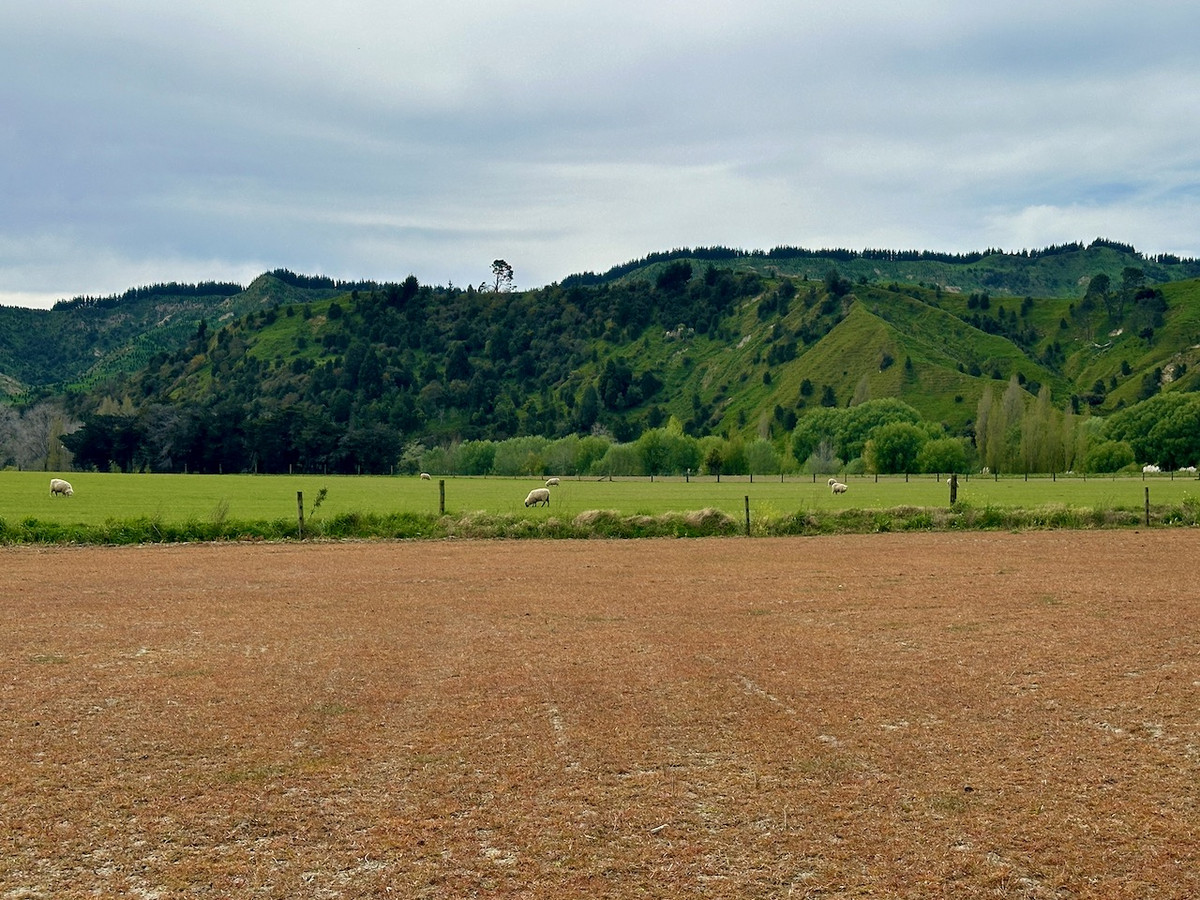 Finishing, Cropping and Viticulture options