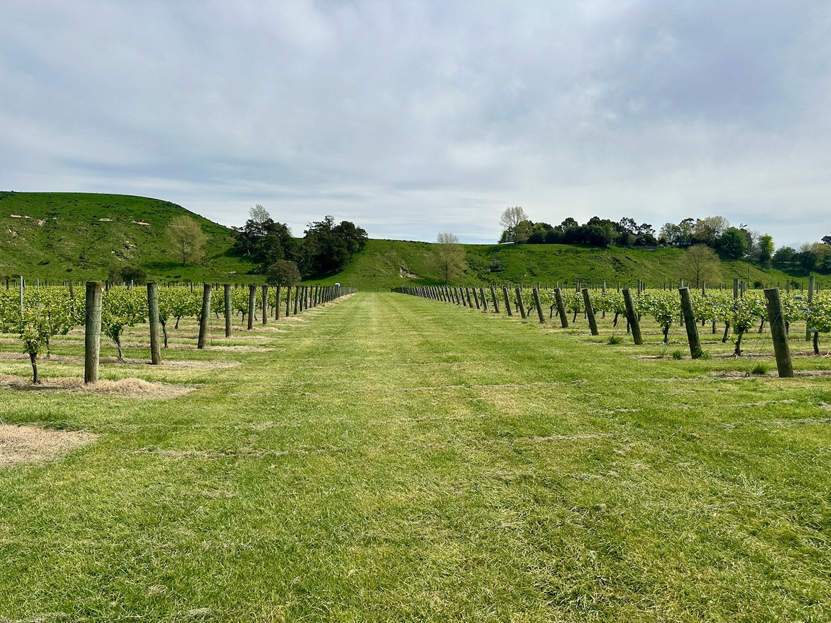 Finishing, Cropping and Viticulture options