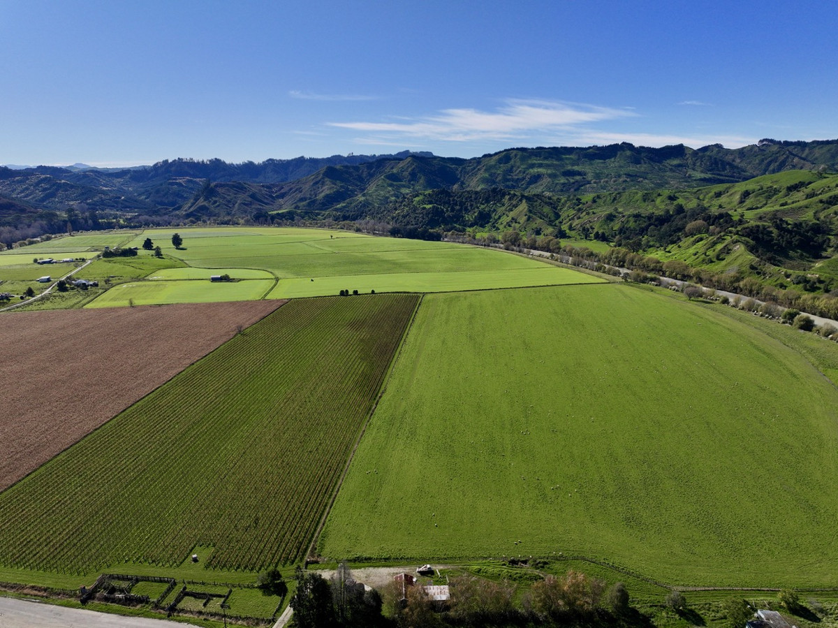 Finishing, Cropping and Viticulture options