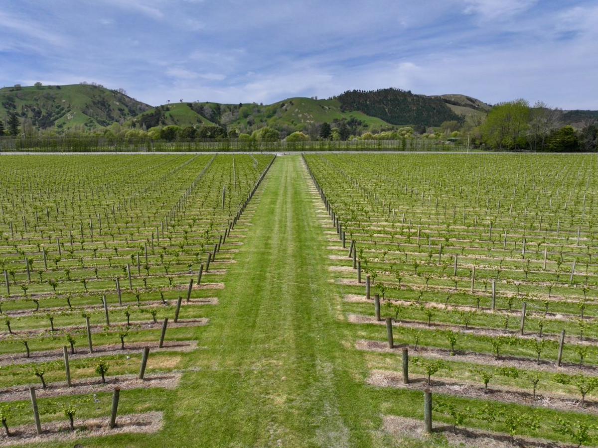 Finishing, Cropping and Viticulture options