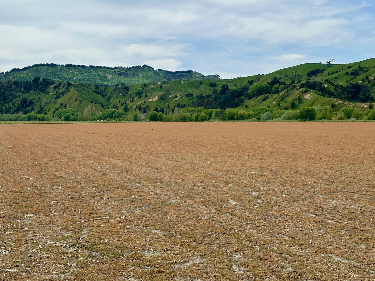Finishing, Cropping and Viticulture options