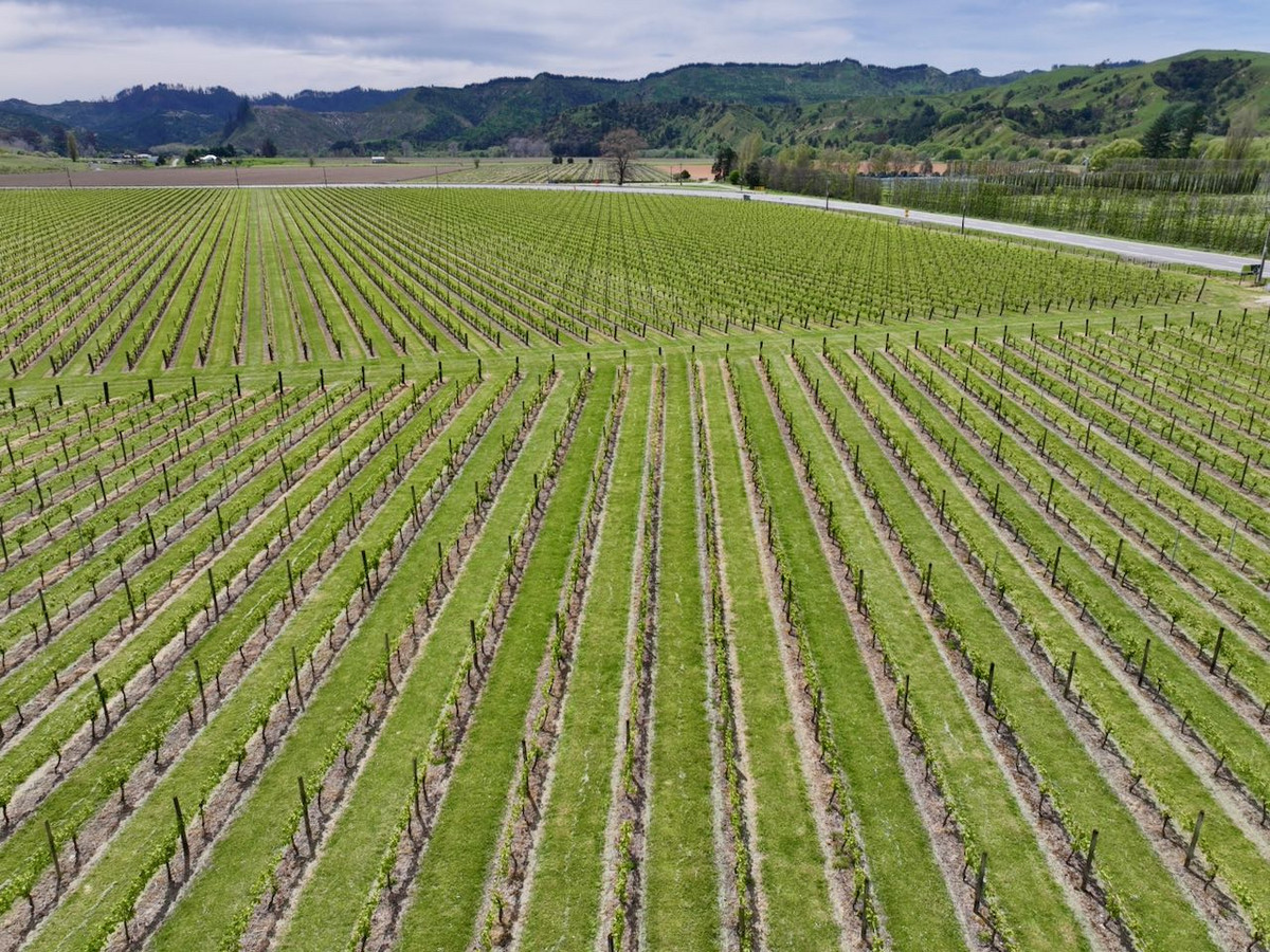 Finishing, Cropping and Viticulture options