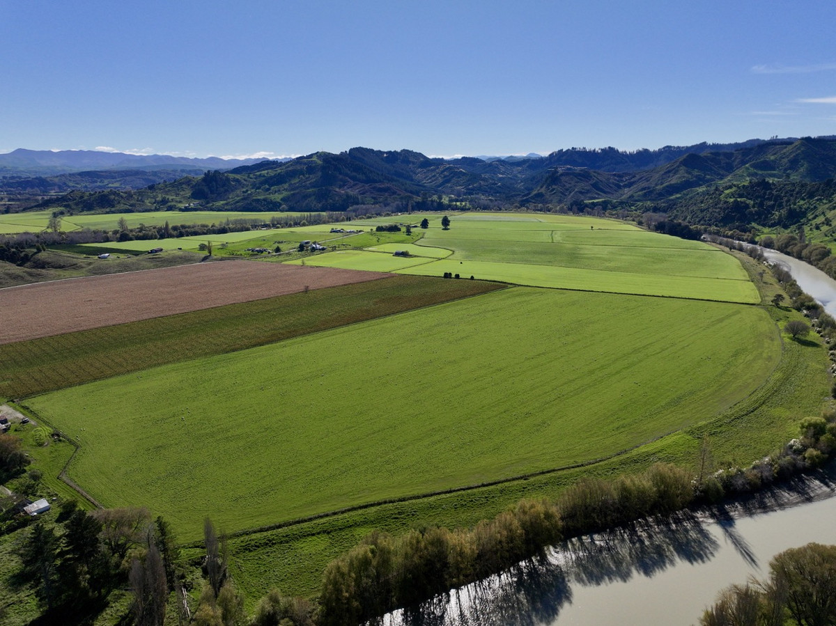 Finishing, Cropping and Viticulture options