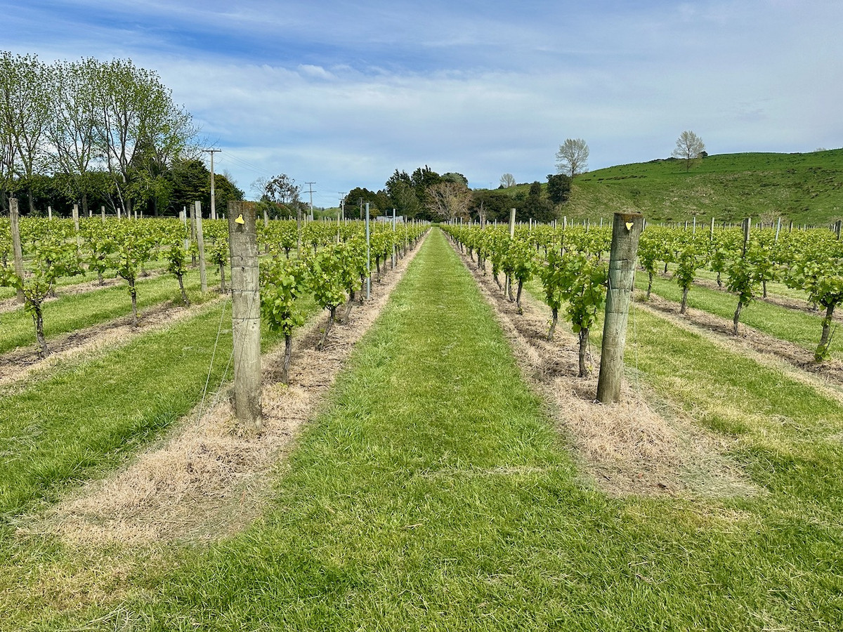 Finishing, Cropping and Viticulture options