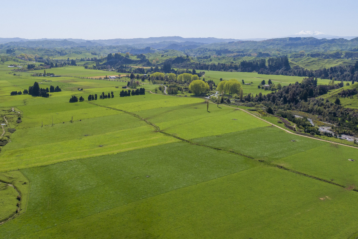 At $28,000+/ha - the returns are hard to beat! At $28,000+/ha - the returns are hard to beat!