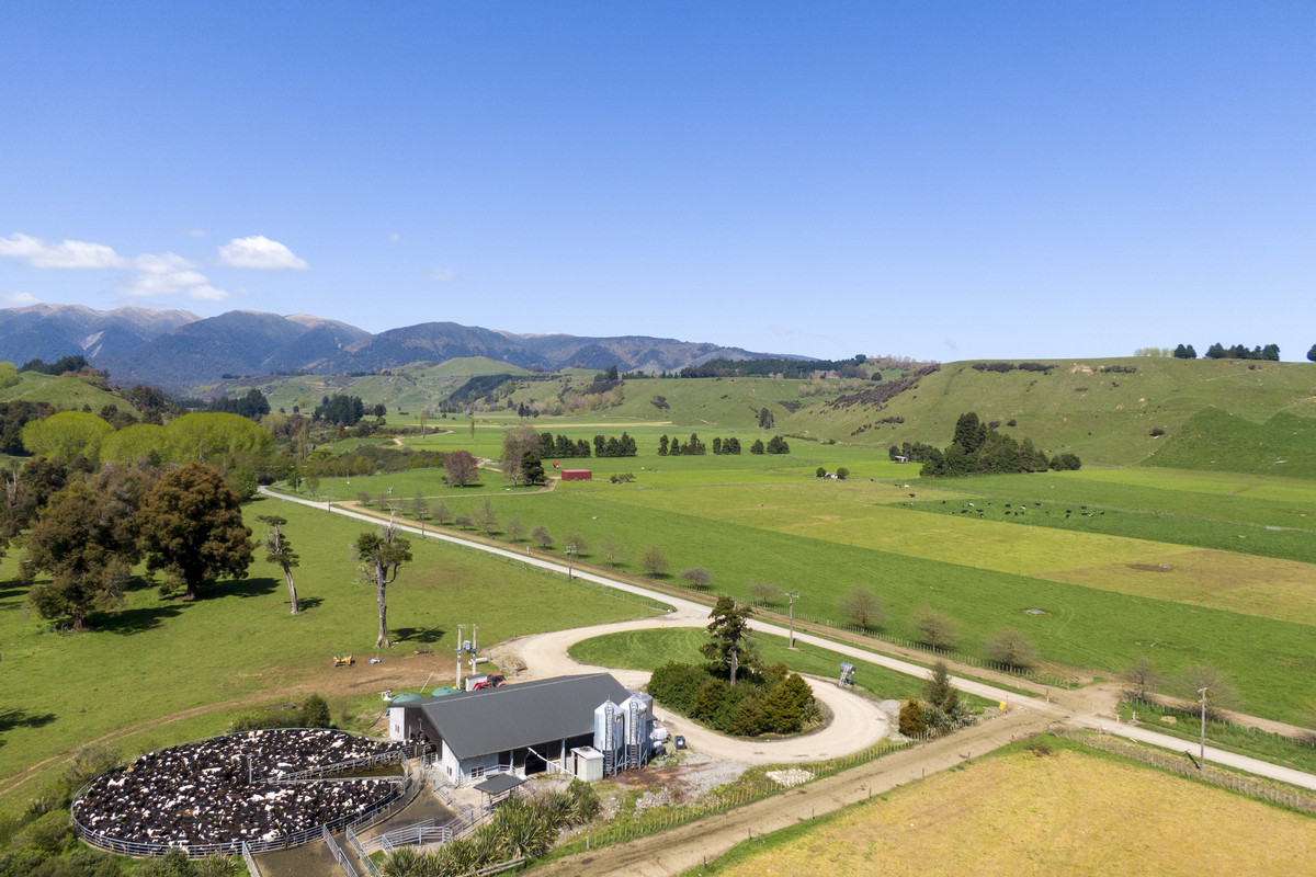At $28,000+/ha - the returns are hard to beat!