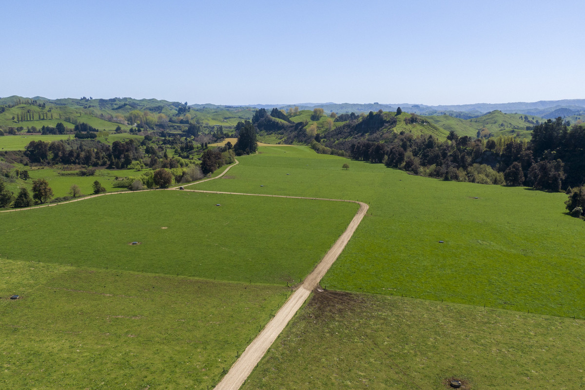 At $28,000+/ha - the returns are hard to beat!