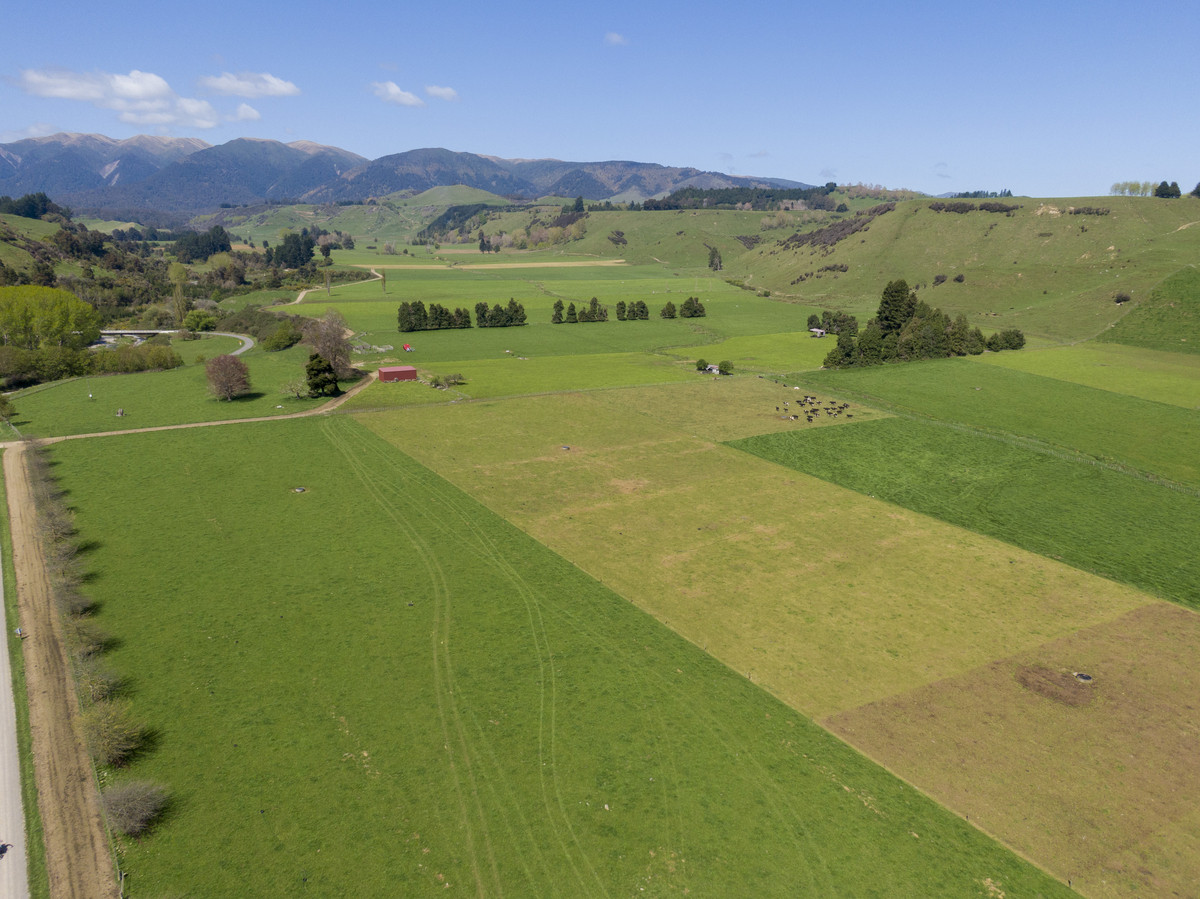 Quality Soils & Irrigation - 234.5 Hectares + 110ha Lease