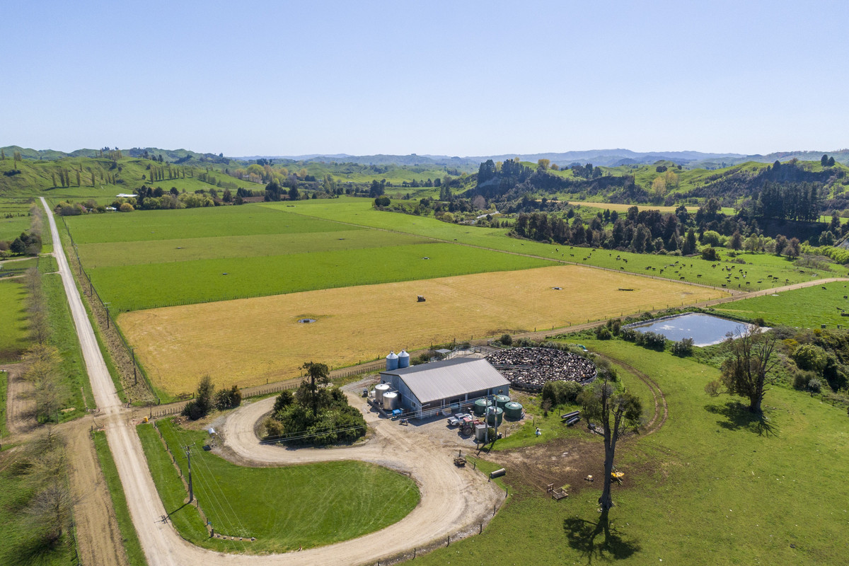 At $28,000+/ha - the returns are hard to beat!