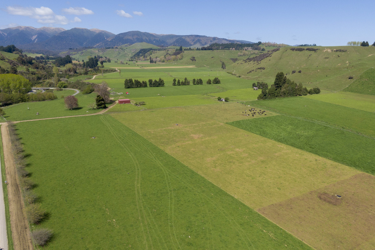 At $28,000+/ha - the returns are hard to beat!