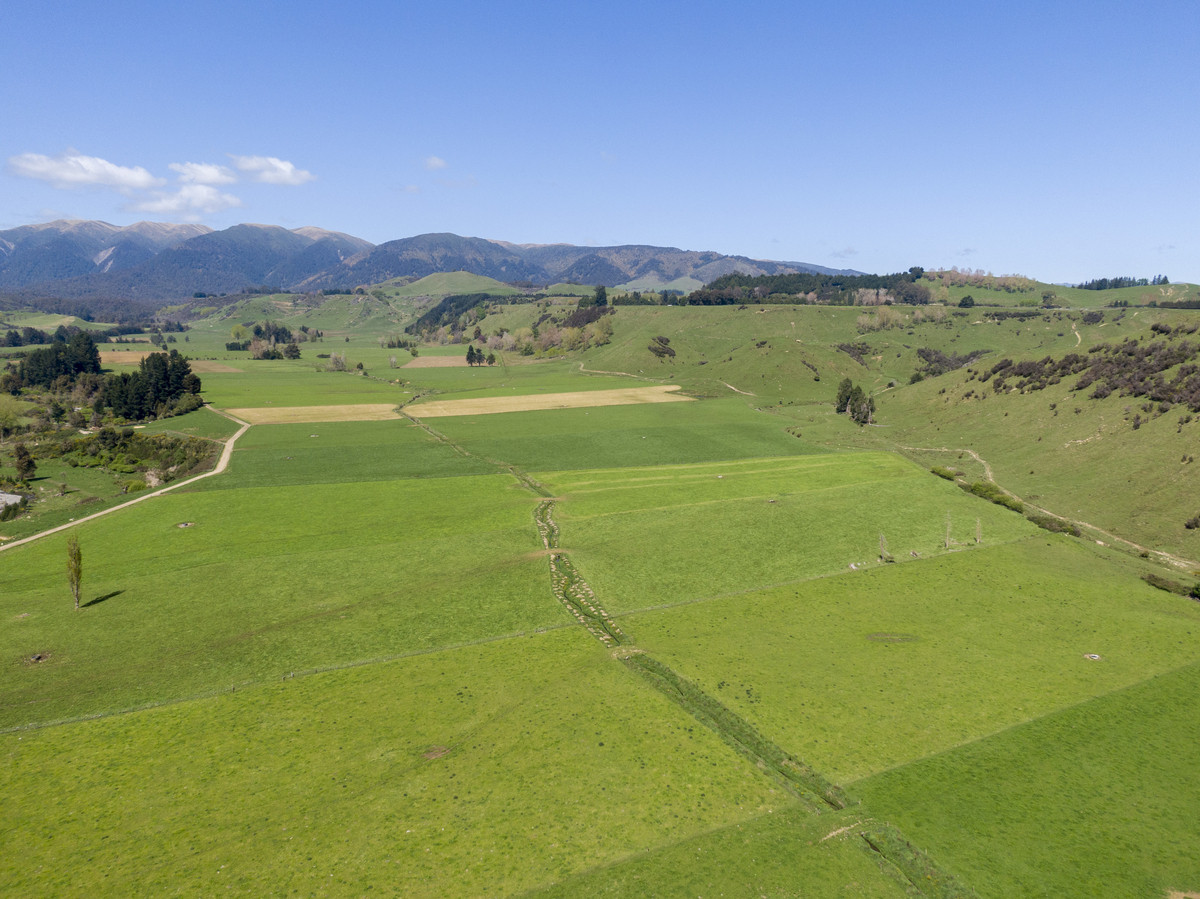 Quality Soils & Irrigation - 234.5 Hectares + 110ha Lease