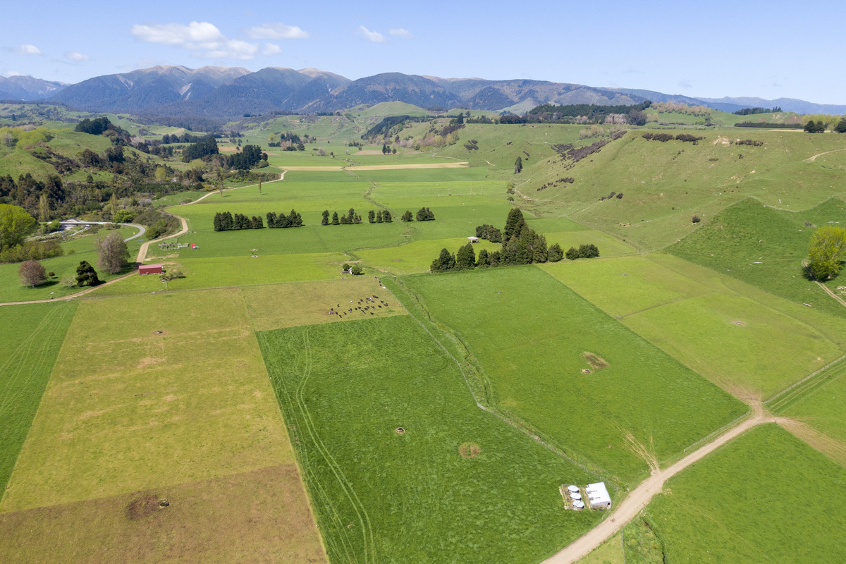 At $28,000+/ha - the returns are hard to beat!