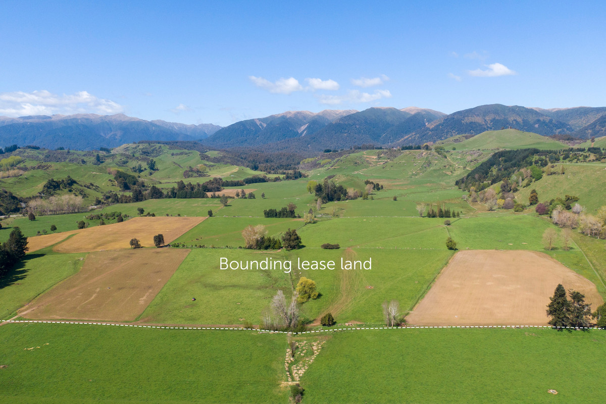 At $28,000+/ha - the returns are hard to beat!