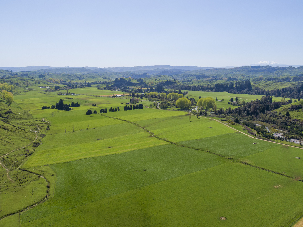 Quality Soils & Irrigation - 234.5 Hectares + 110ha Lease