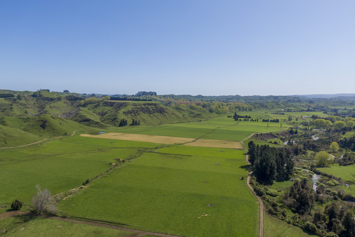 At $28,000+/ha - the returns are hard to beat!