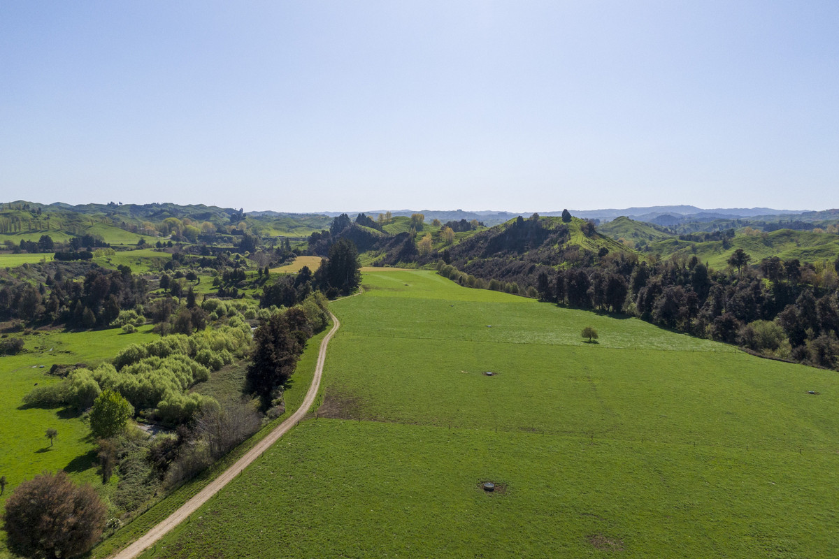 At $28,000+/ha - the returns are hard to beat!