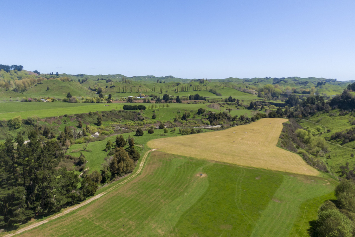 At $28,000+/ha - the returns are hard to beat!