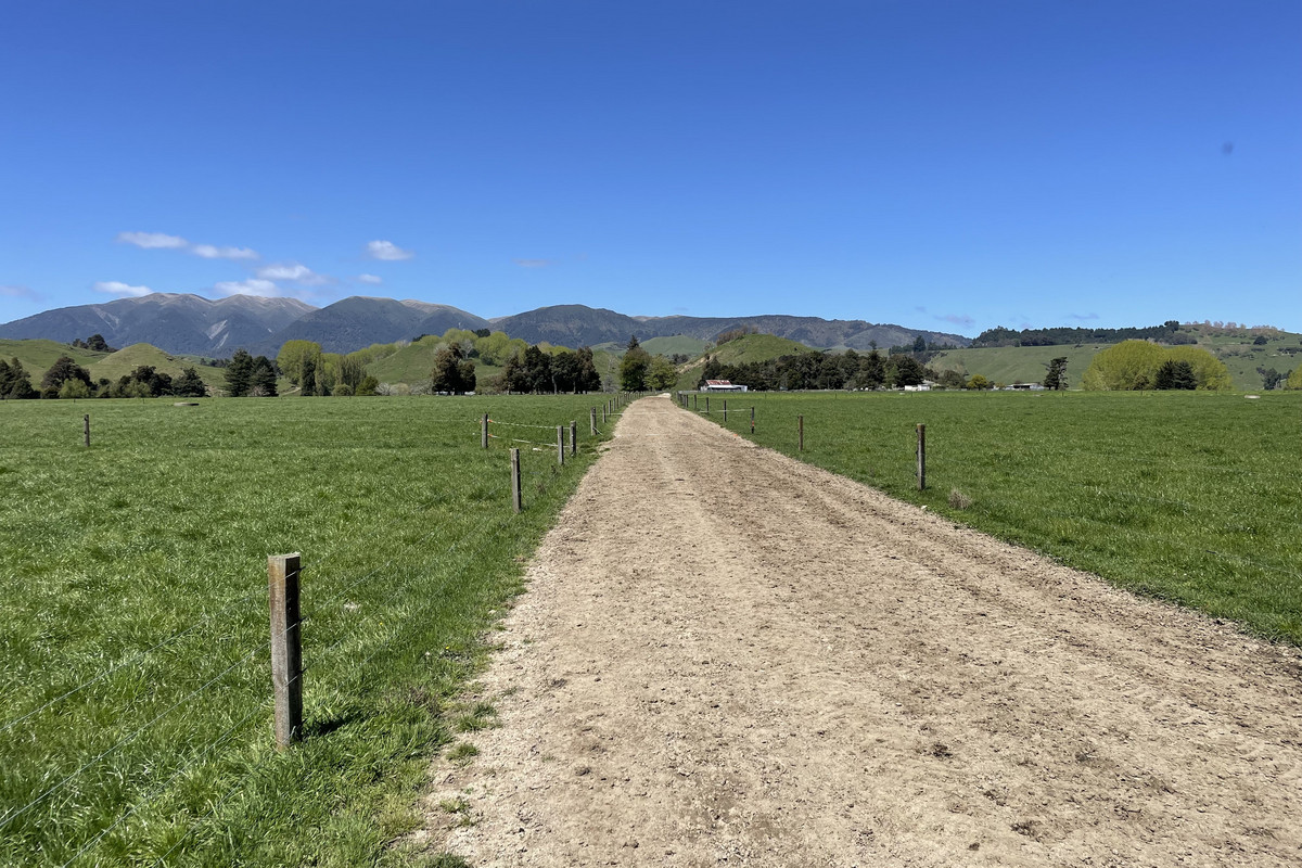 At $28,000+/ha - the returns are hard to beat!