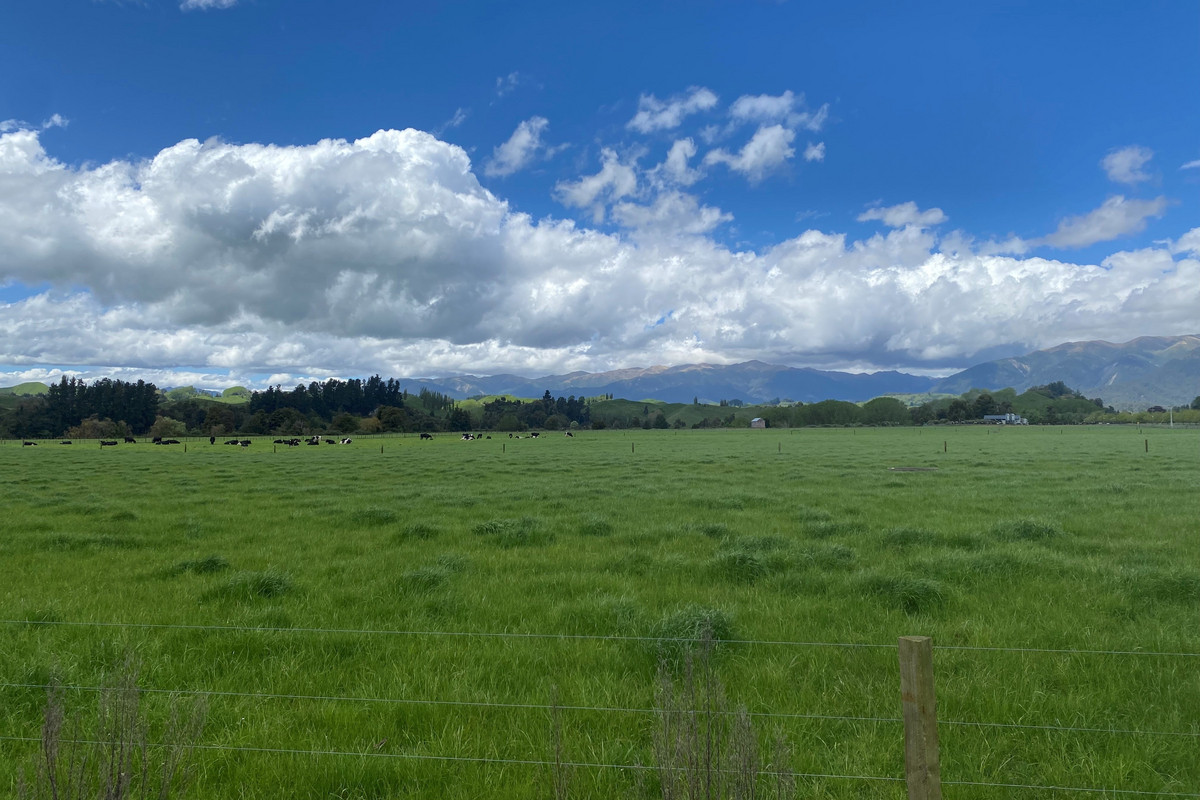 At $28,000+/ha - the returns are hard to beat!