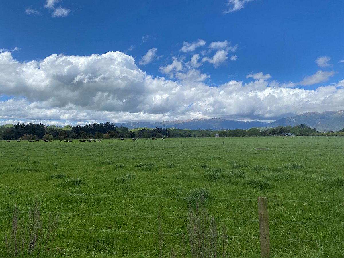 Quality Soils & Irrigation - 234.5 Hectares + 110ha Lease