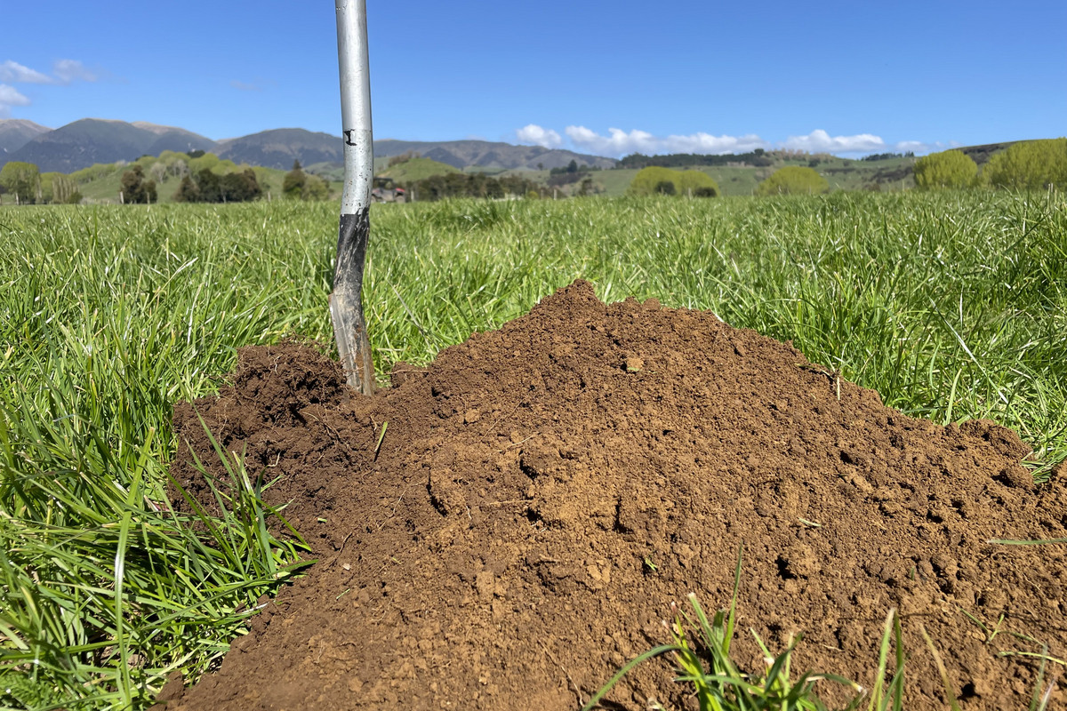 At $28,000+/ha - the returns are hard to beat!