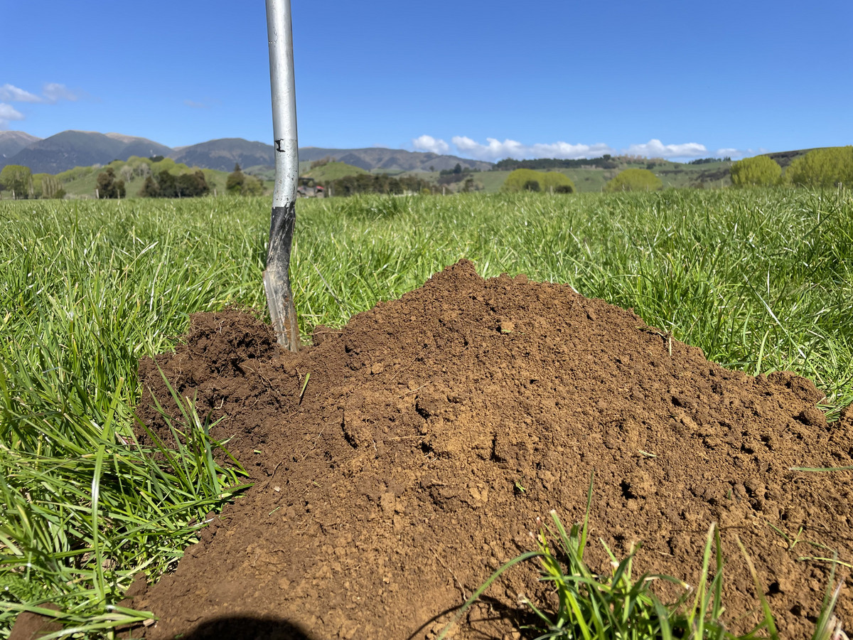 Quality Soils & Irrigation - 234.5 Hectares + 110ha Lease