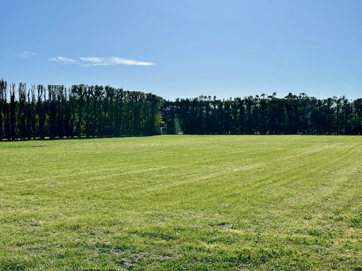 Rural lifestyle, City living