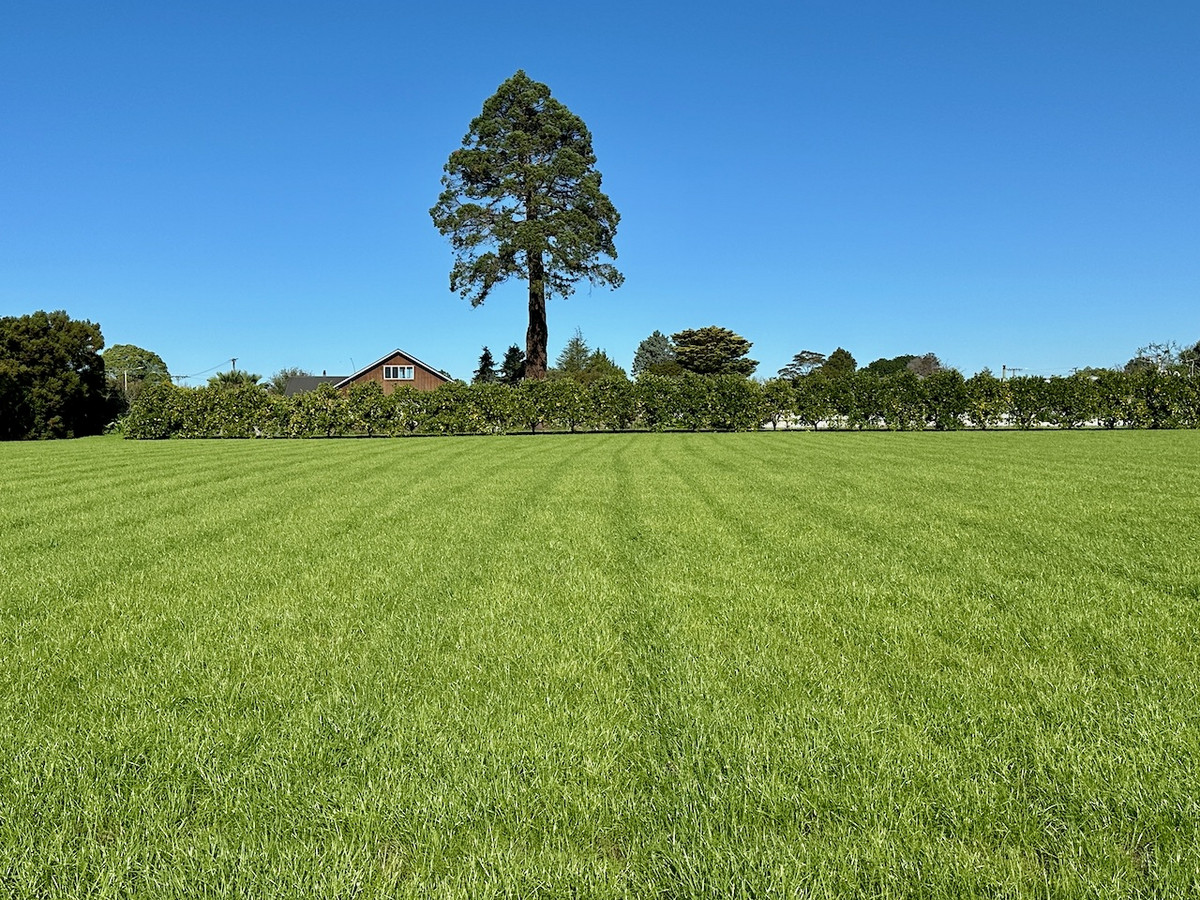 Rural lifestyle, City living