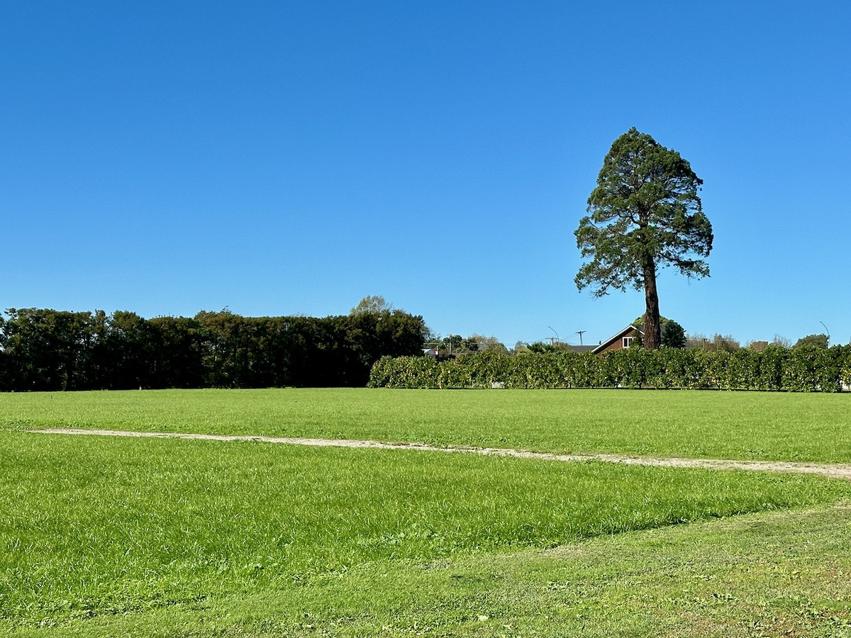 Rural lifestyle, City living