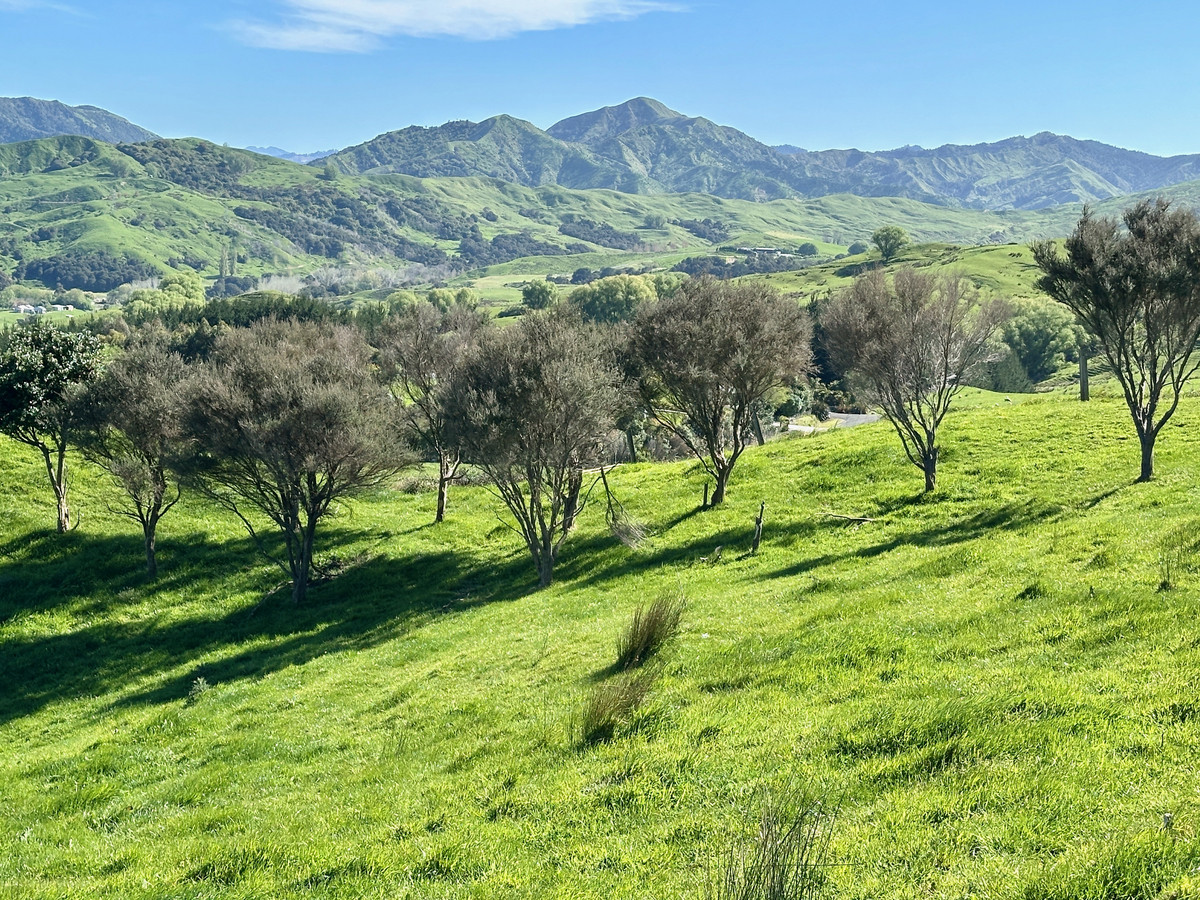 Last but not least- elevated 1.326ha lifestyle section