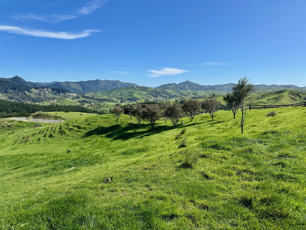 Last but not least- elevated 1.326ha lifestyle section