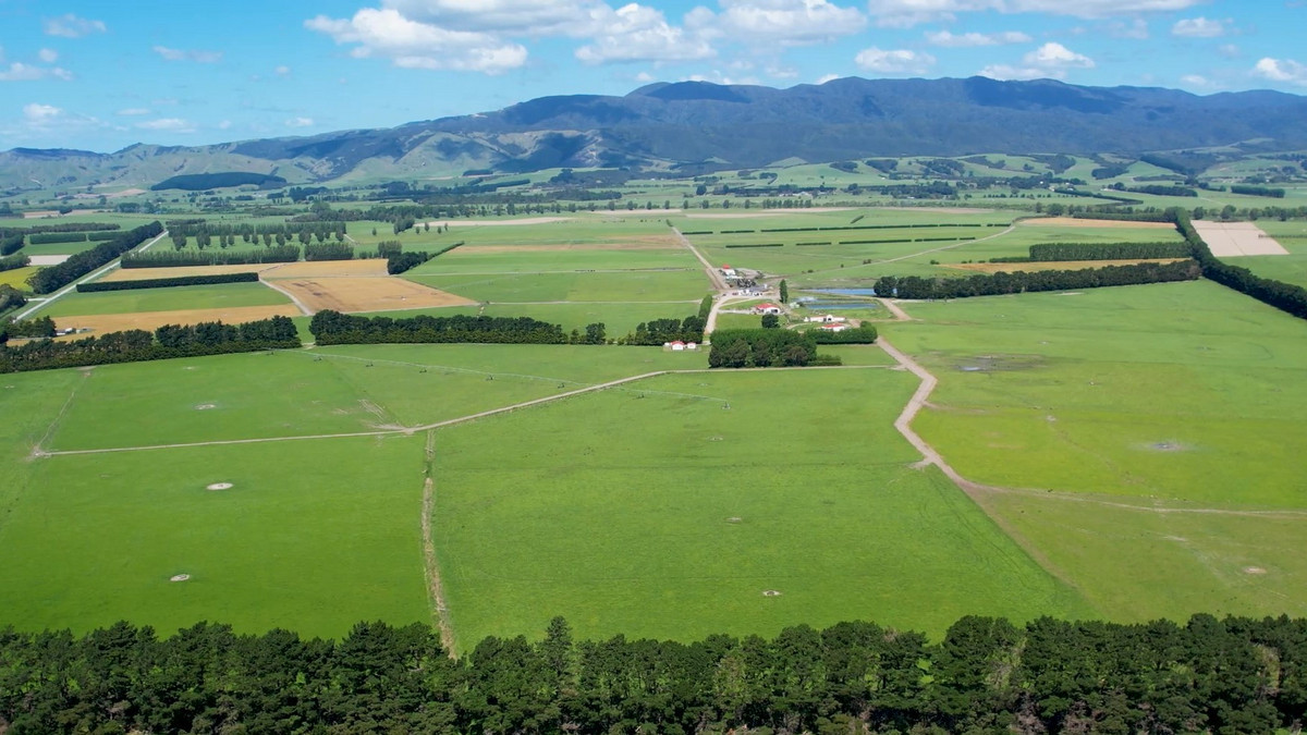 At $43,000/ha The Figures Speak for Themselves