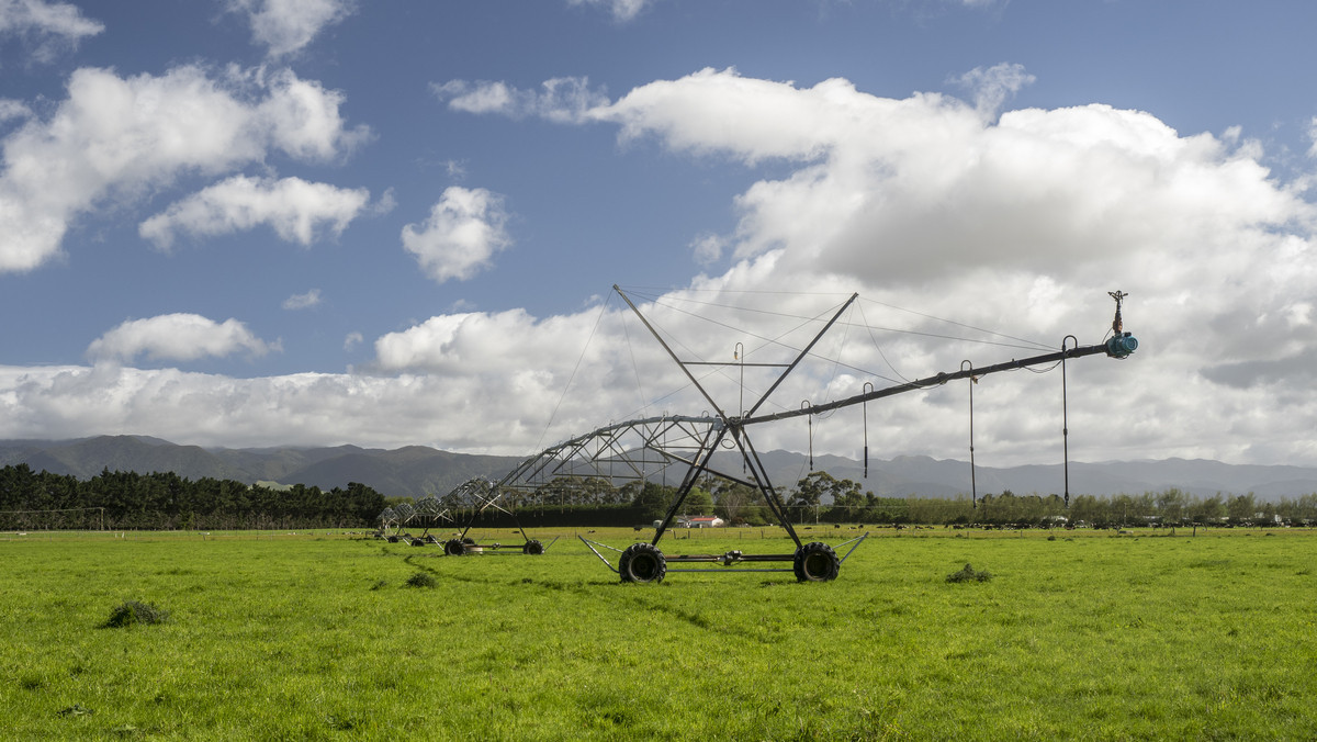 At $43,000/ha The Figures Speak for Themselves