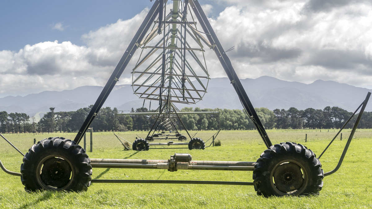 At $43,000/ha The Figures Speak for Themselves