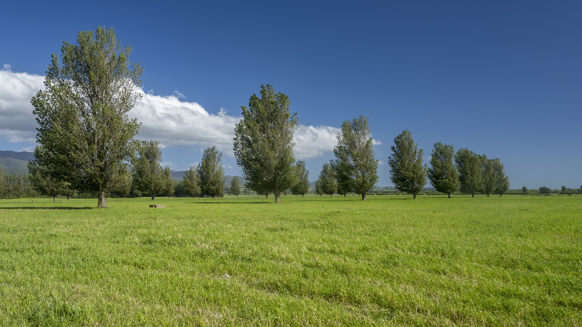At $43,000/ha The Figures Speak for Themselves