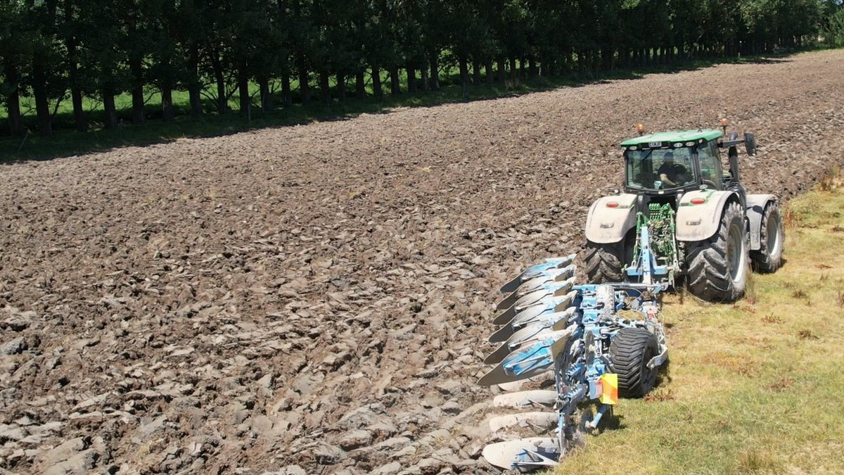 At $43,000/ha The Figures Speak for Themselves