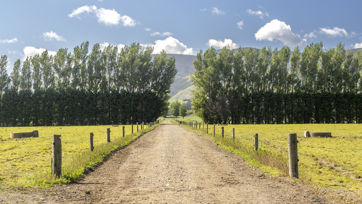 At $43,000/ha The Figures Speak for Themselves