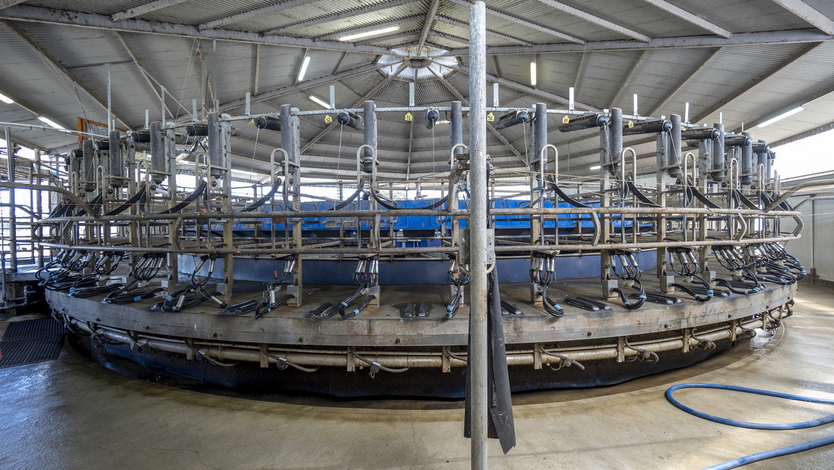 At $43,000/ha The Figures Speak for Themselves