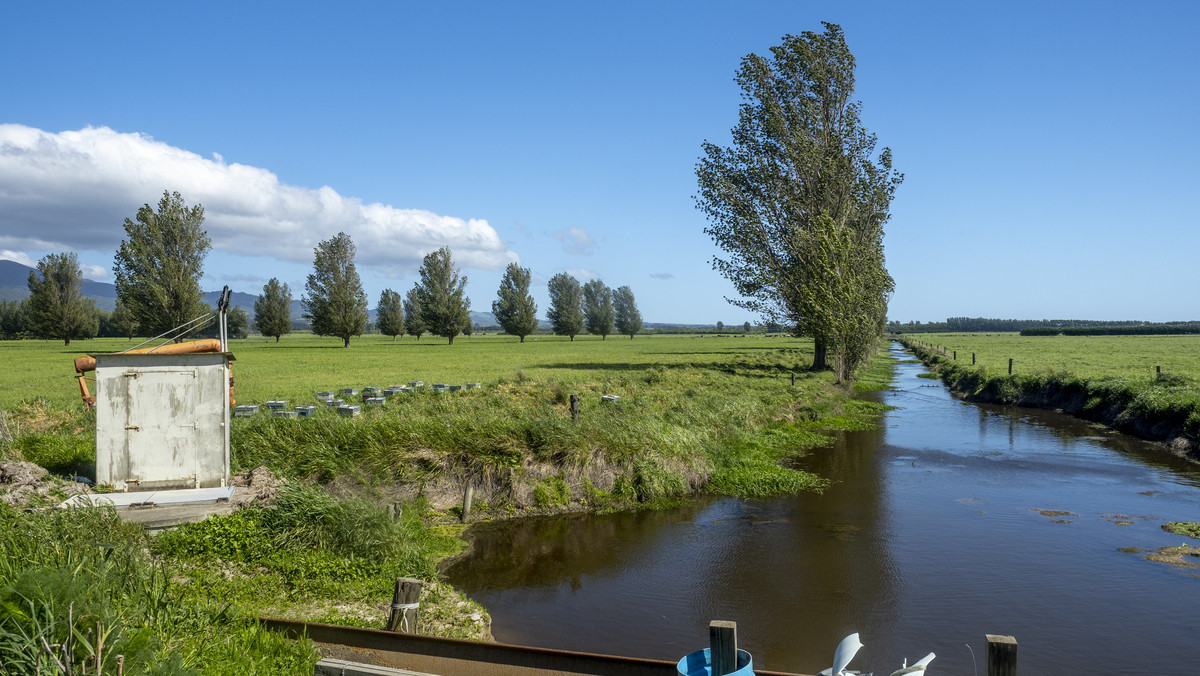 At $43,000/ha The Figures Speak for Themselves
