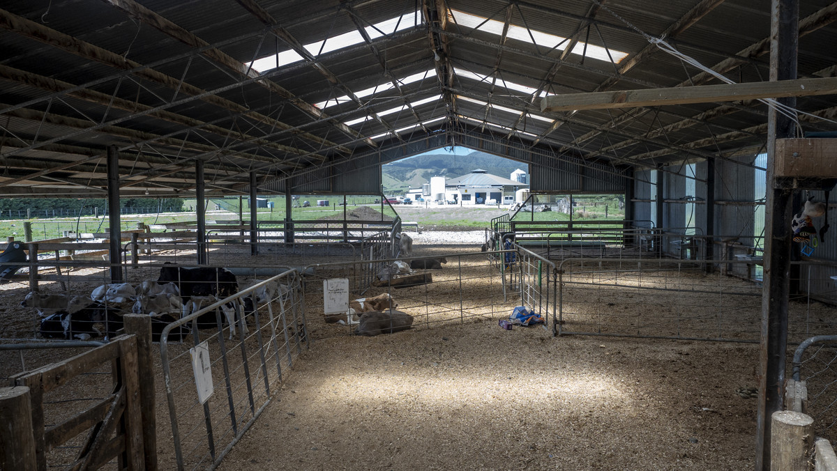 At $43,000/ha The Figures Speak for Themselves