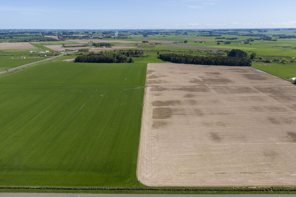 Highly Productive Soils & Attractive Environment