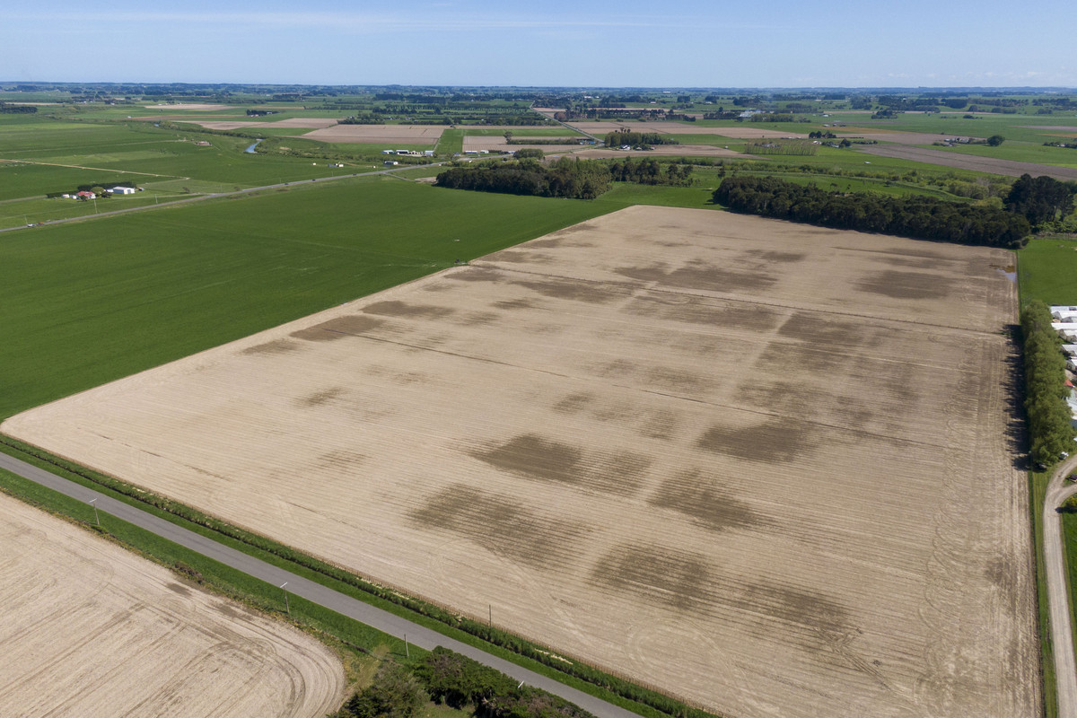 Highly Productive Soils & Attractive Environment