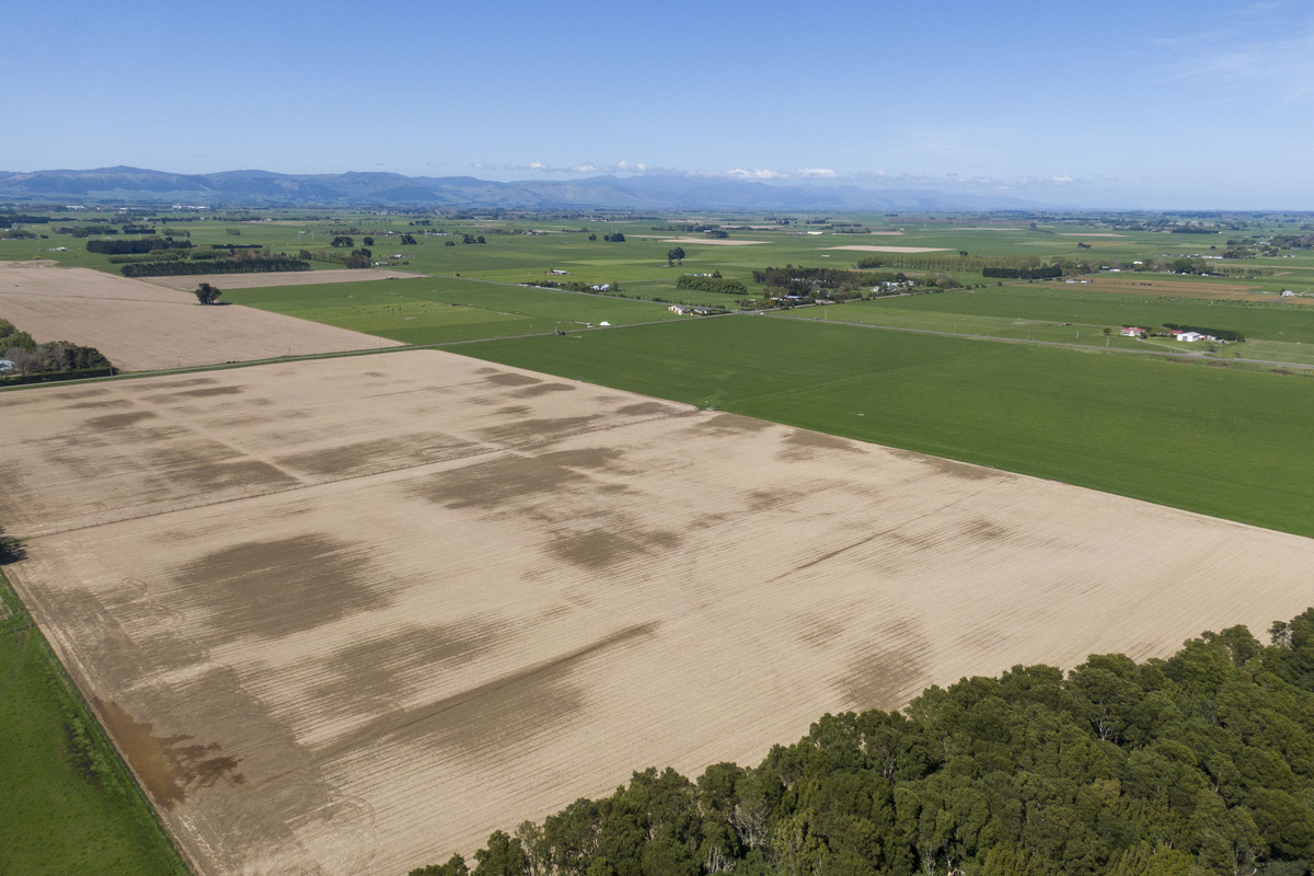 Highly Productive Soils & Attractive Environment