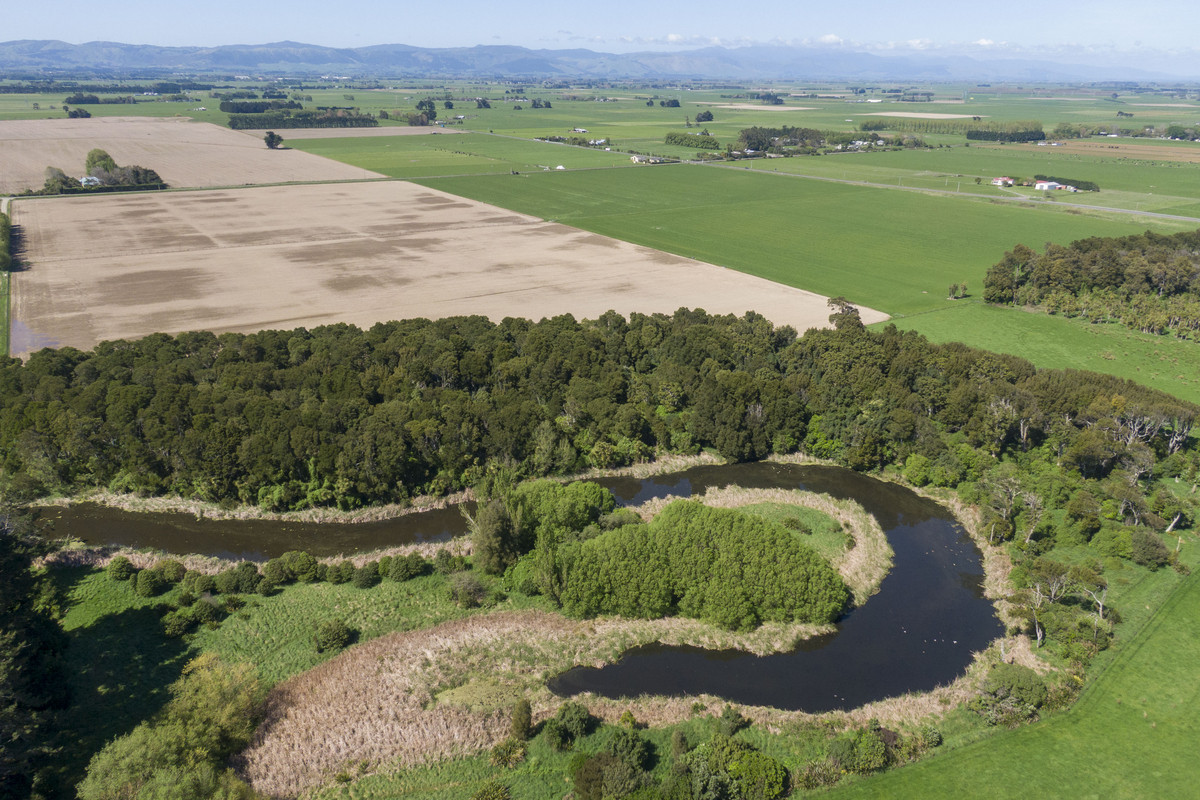 Highly Productive Soils & Attractive Environment