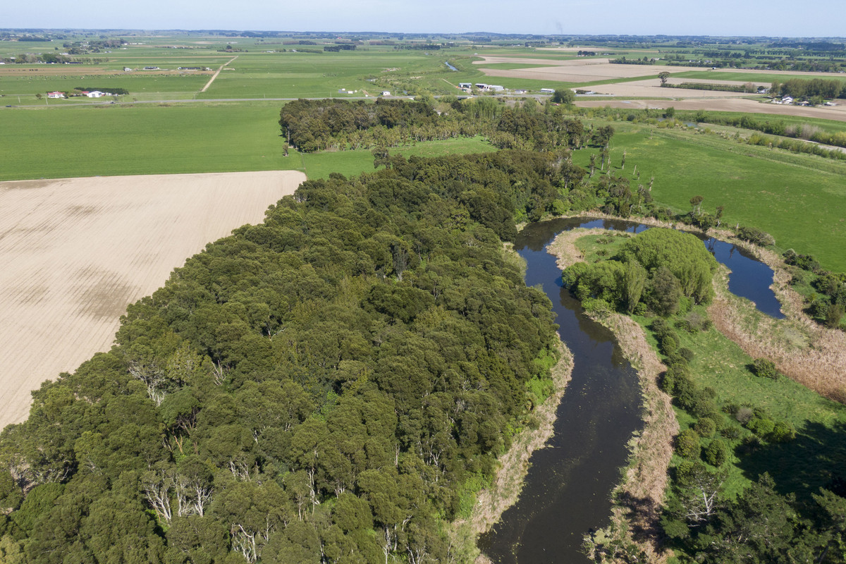 Highly Productive Soils & Attractive Environment