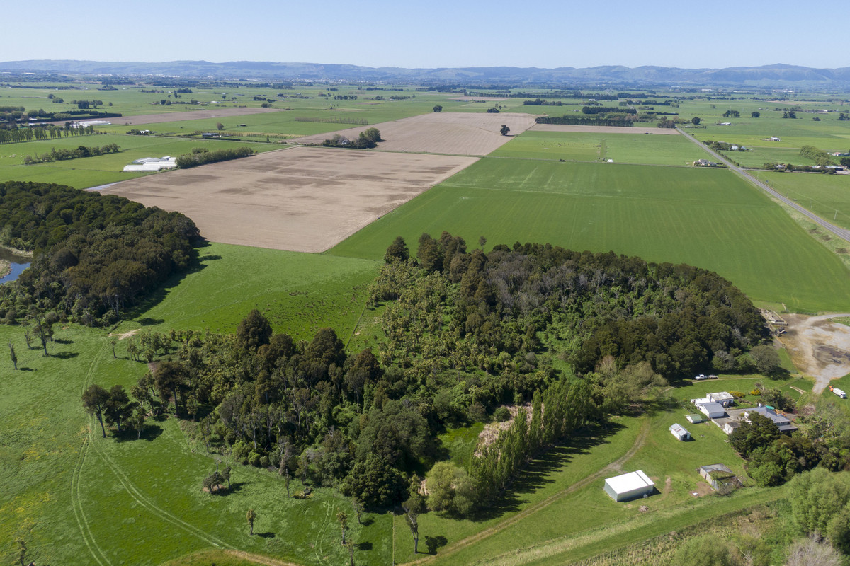 Highly Productive Soils & Attractive Environment