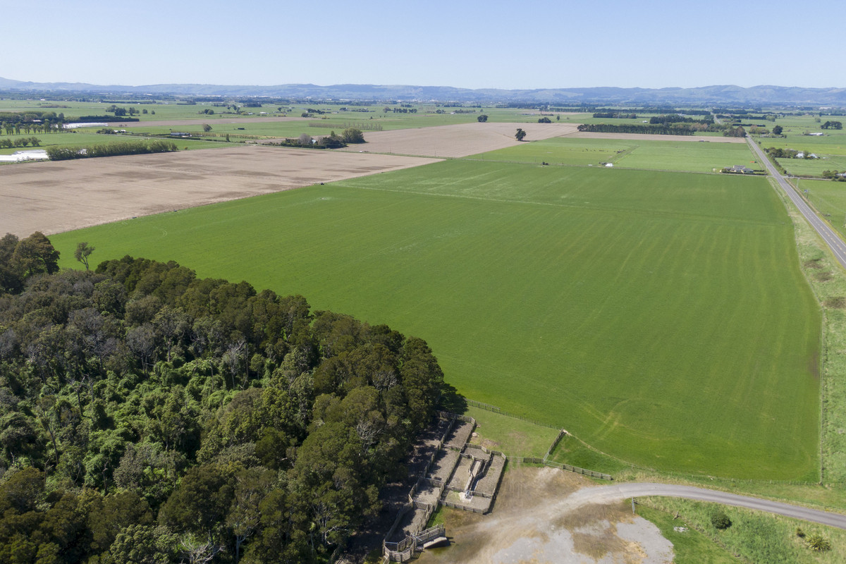 Highly Productive Soils & Attractive Environment