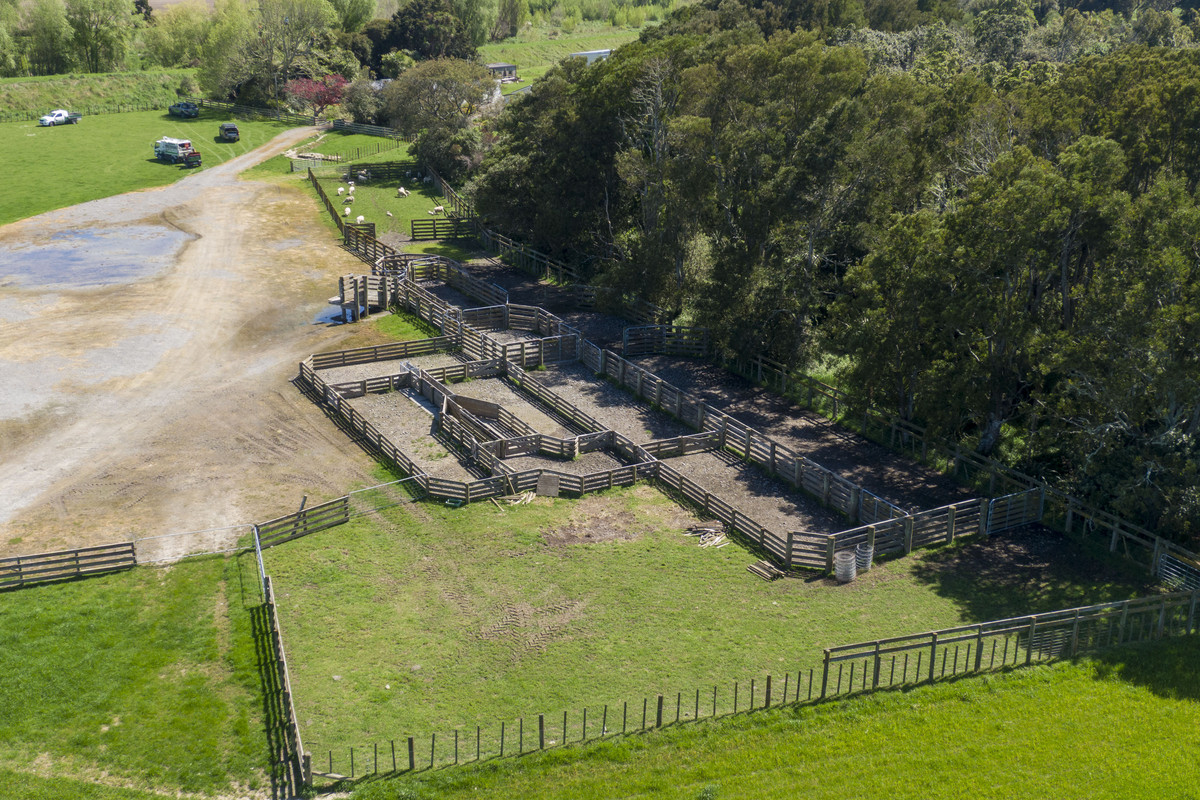 Highly Productive Soils & Attractive Environment