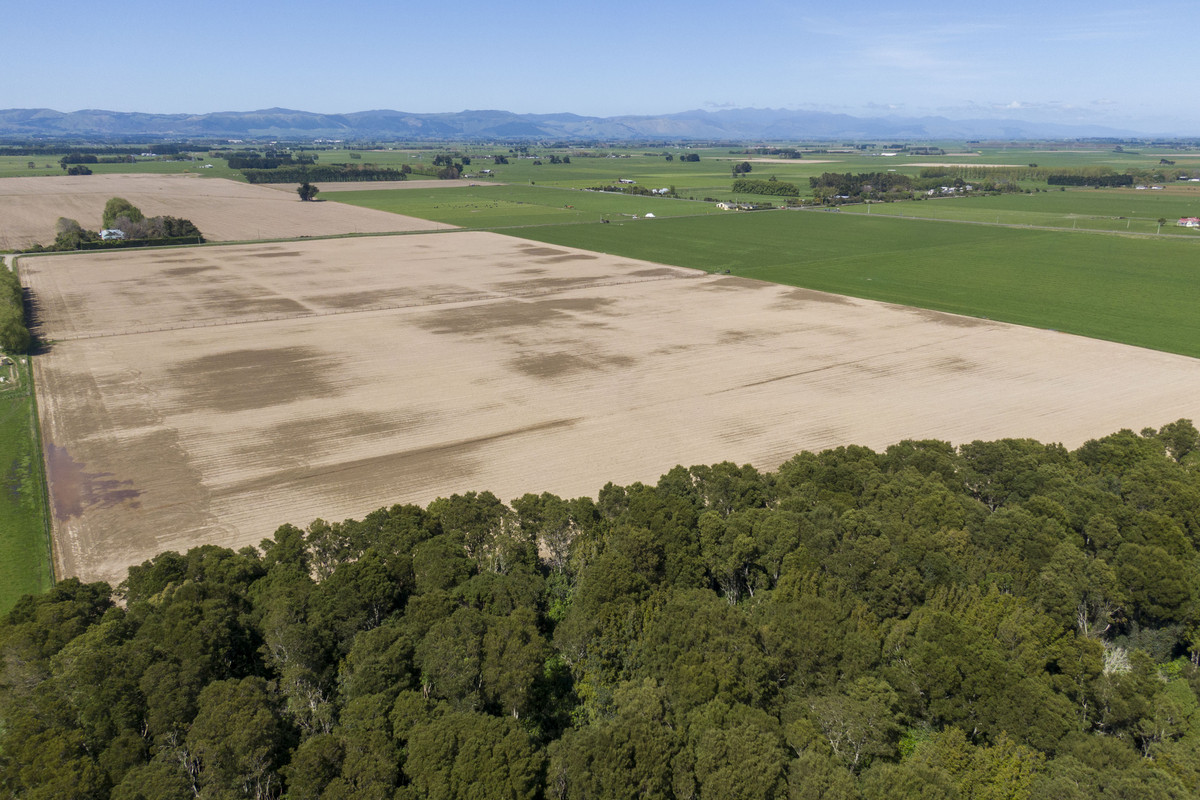 Highly Productive Soils & Attractive Environment