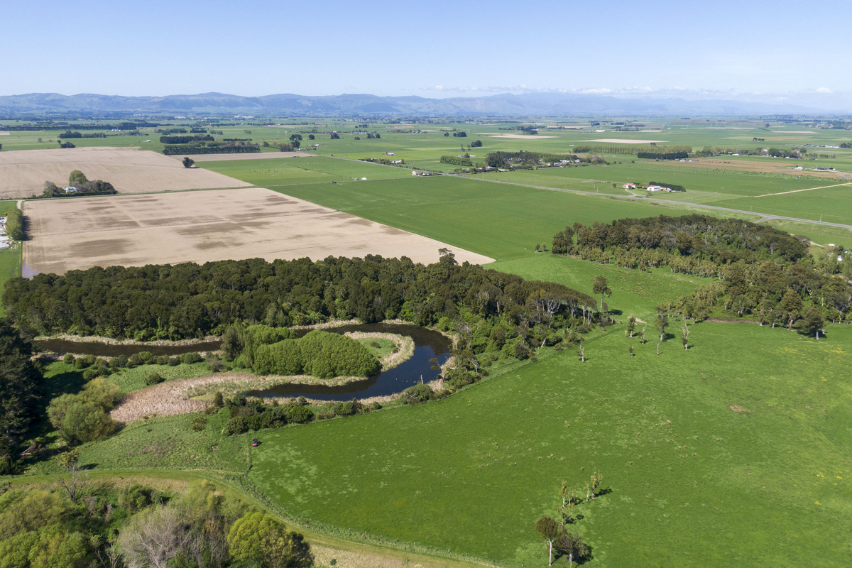 Highly Productive Soils & Attractive Environment